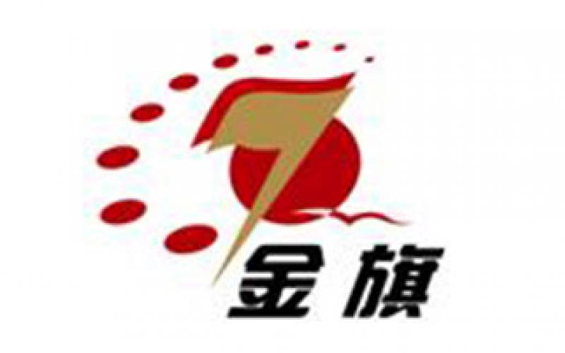 恭喜金旗新網(wǎng)站順利開通